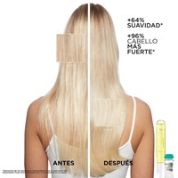 Imagen de Booster Nutrition - 120 ml